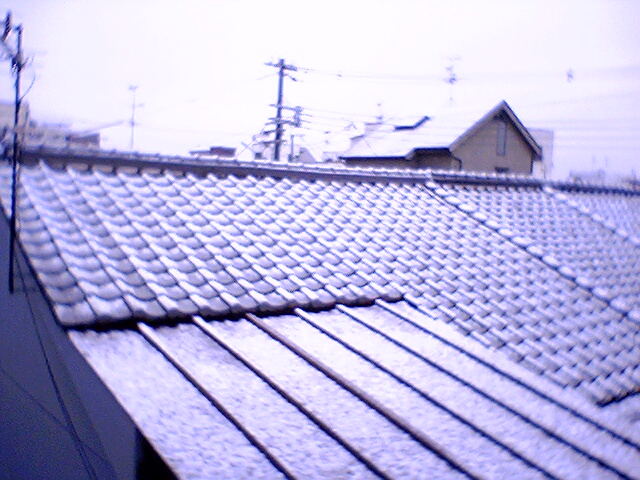 雪〜やこんこん♪